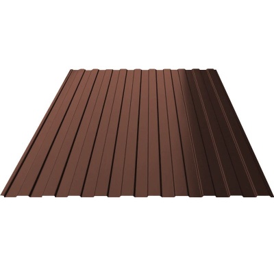 121041_profnastil-pk-s8-pe-ral-8017-sho