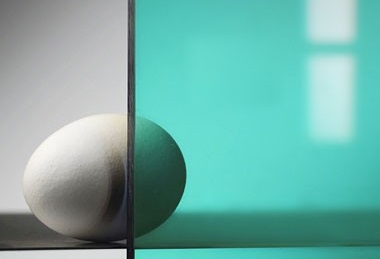 киви зеленый