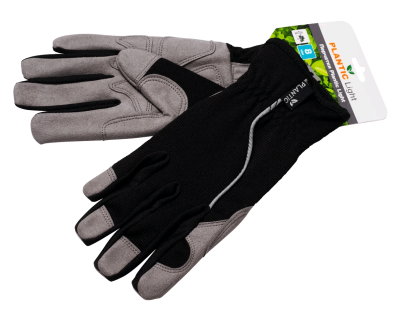 Безымянный