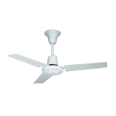 768848c4c2515d6ba77d0b88a3e5ddb6