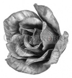 Цветок-Роза Н 55х70 мм