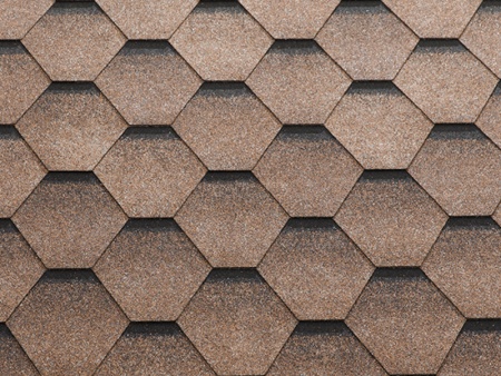 Katrilli_desertbrown