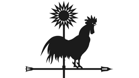 cock